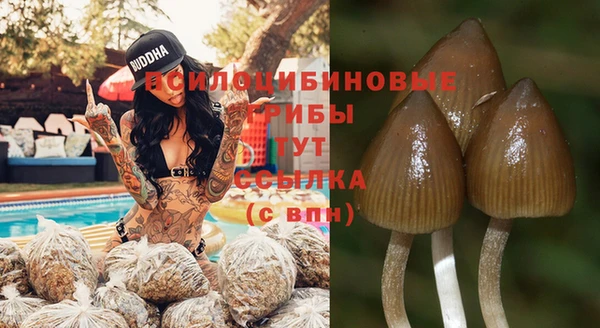 мескалин Верхний Тагил