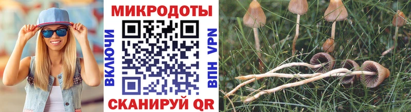 Купить где  Котлас  Галлюциногенные грибы прущие грибы 